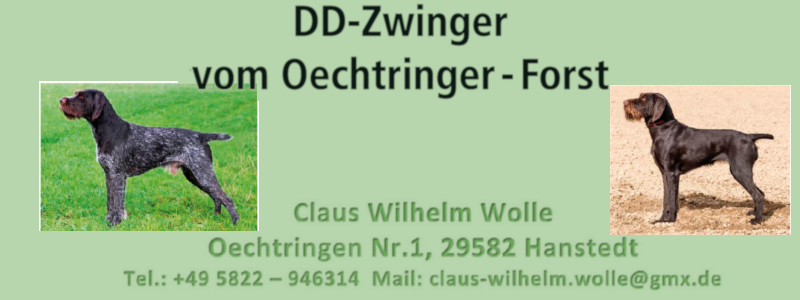 54_Oetricher-Forst.png